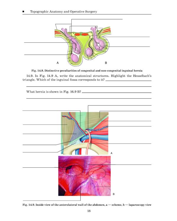 Topographic Anatomy and Operative Surgery. Workbook. In 2 parts. Part 2: на англ.яз