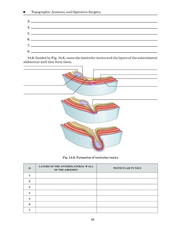 Topographic Anatomy and Operative Surgery. Workbook. In 2 parts. Part 2: на англ.яз