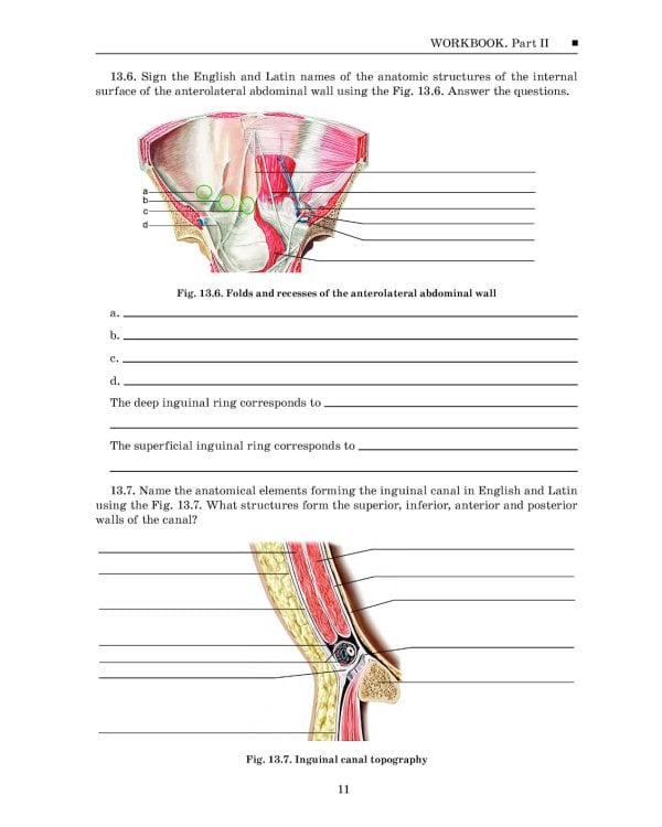 Topographic Anatomy and Operative Surgery. Workbook. In 2 parts. Part 2: на англ.яз