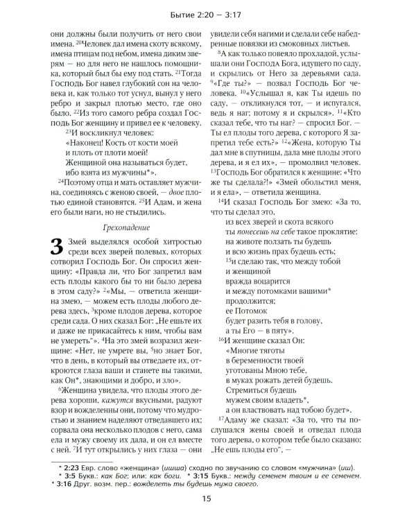 Библия. Книги Священного Писания Ветхого и Нового Завета в современном русском переводе. (Винил, бордовый). 3-е изд