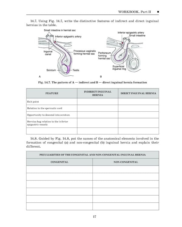 Topographic Anatomy and Operative Surgery. Workbook. In 2 parts. Part 2: на англ.яз