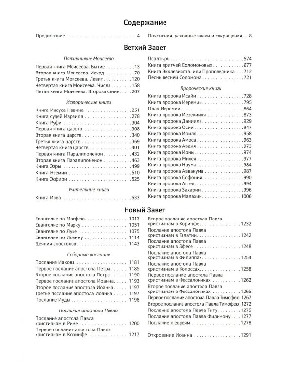 Библия. Книги Священного Писания Ветхого и Нового Завета в современном русском переводе. (Винил, бордовый). 3-е изд