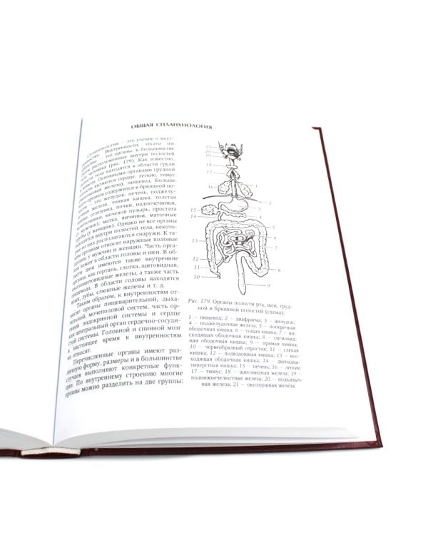 Нормальная анатомия человека. В 2 т.: Учебник. 11-е изд., перераб. и доп. (комплект из 2-х книг)