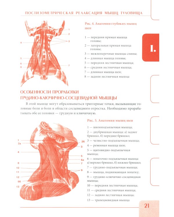 Постизометрическая релаксация мышц. Мягкие мануальные техники: Учебное пособие. 3-е изд