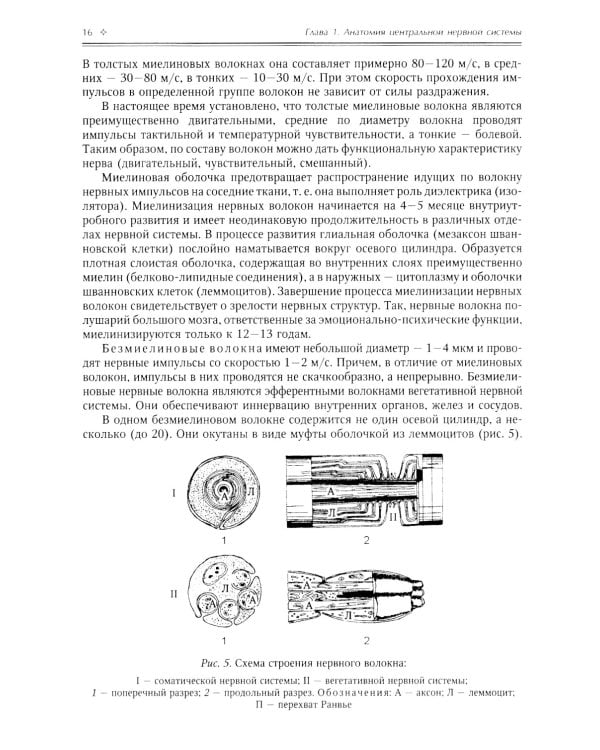 Нормальная анатомия человека. В 2 т.: Учебник. 11-е изд., перераб. и доп. (комплект из 2-х книг)