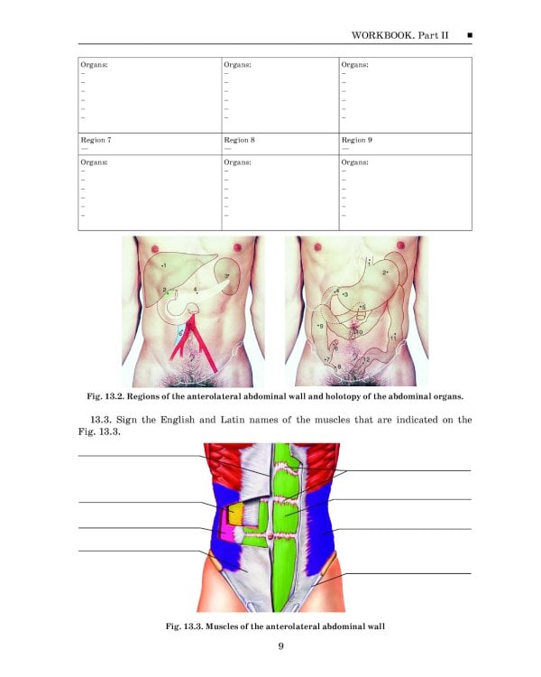 Topographic Anatomy and Operative Surgery. Workbook. In 2 parts. Part 2: на англ.яз