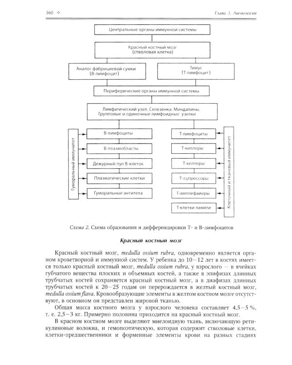 Нормальная анатомия человека. В 2 т.: Учебник. 11-е изд., перераб. и доп. (комплект из 2-х книг)