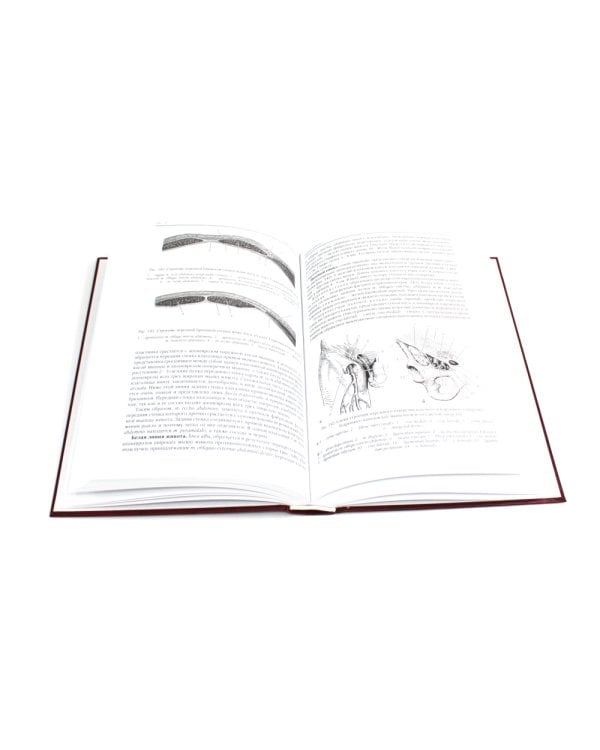 Нормальная анатомия человека. В 2 т.: Учебник. 11-е изд., перераб. и доп. (комплект из 2-х книг)