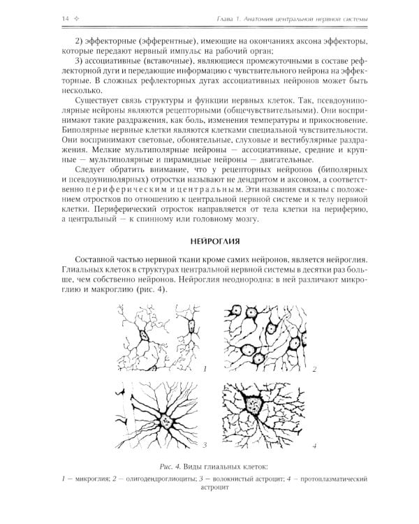 Нормальная анатомия человека. В 2 т.: Учебник. 11-е изд., перераб. и доп. (комплект из 2-х книг)