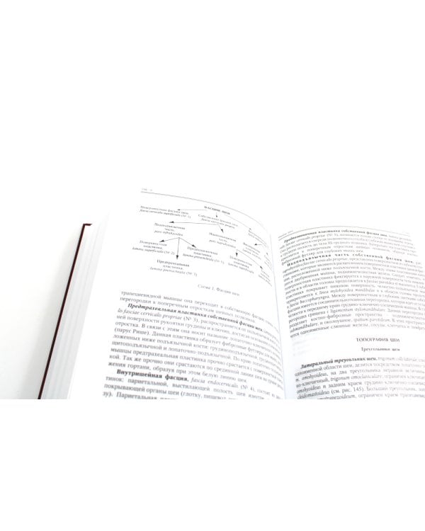 Нормальная анатомия человека. В 2 т.: Учебник. 11-е изд., перераб. и доп. (комплект из 2-х книг)