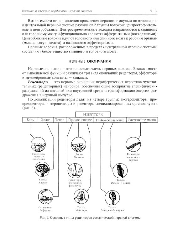 Нормальная анатомия человека. В 2 т.: Учебник. 11-е изд., перераб. и доп. (комплект из 2-х книг)