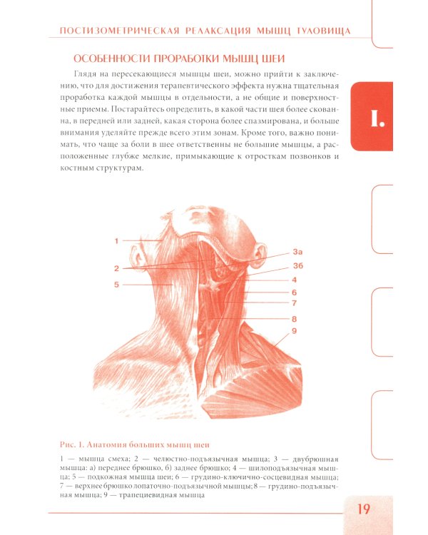 Постизометрическая релаксация мышц. Мягкие мануальные техники: Учебное пособие. 3-е изд