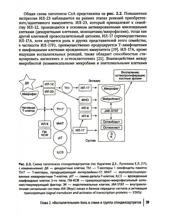 Боль в спине как междисциплинарная проблема: руководство для врачей