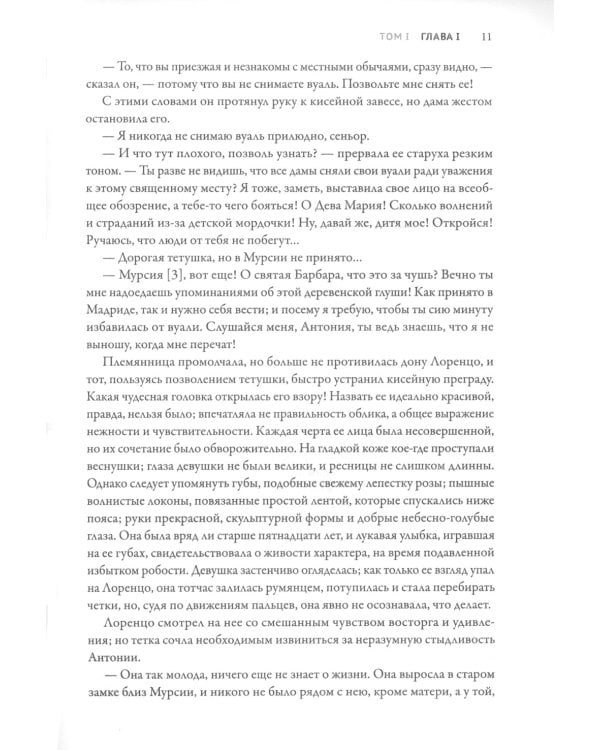 Монах. Величайший готический роман в современной адаптации