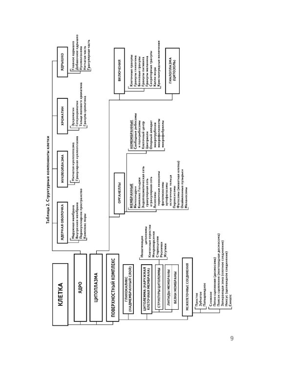 Анатомия человека: атлас с qr-кодами на цветные изображения. 2-е изд