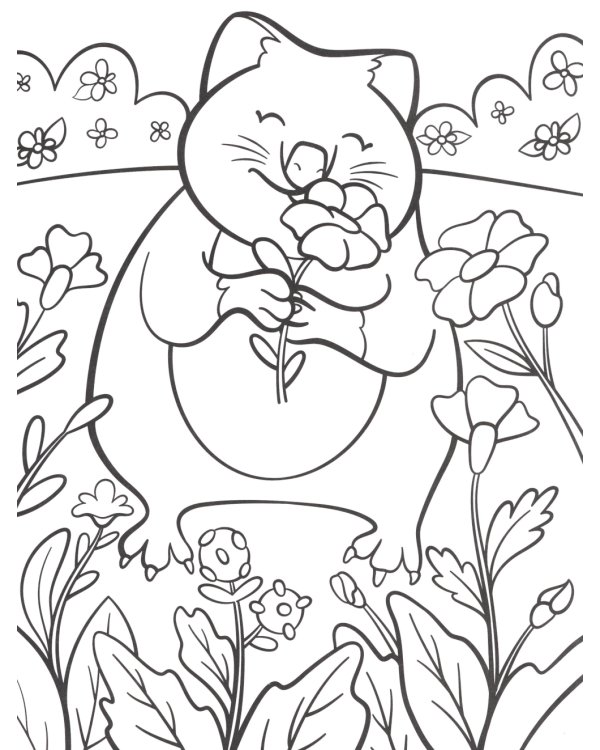 Пушистые животные: книжка-раскраска