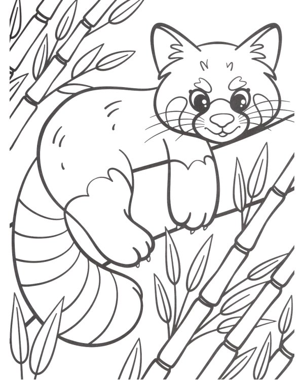 Пушистые животные: книжка-раскраска