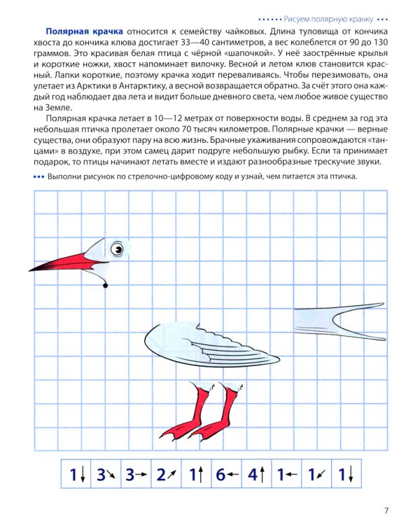 Животные Арктики и Антарктики. Графические диктанты. 4+