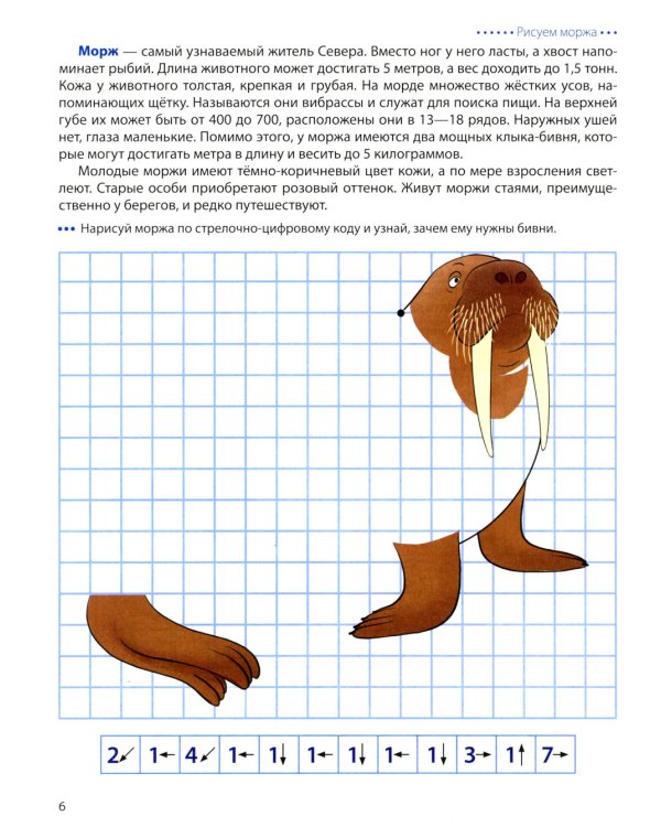Животные Арктики и Антарктики. Графические диктанты. 4+