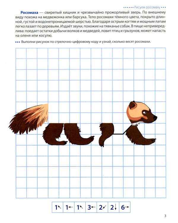 Животные Арктики и Антарктики. Графические диктанты. 4+