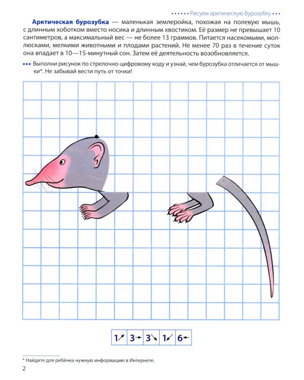 Животные Арктики и Антарктики. Графические диктанты. 4+