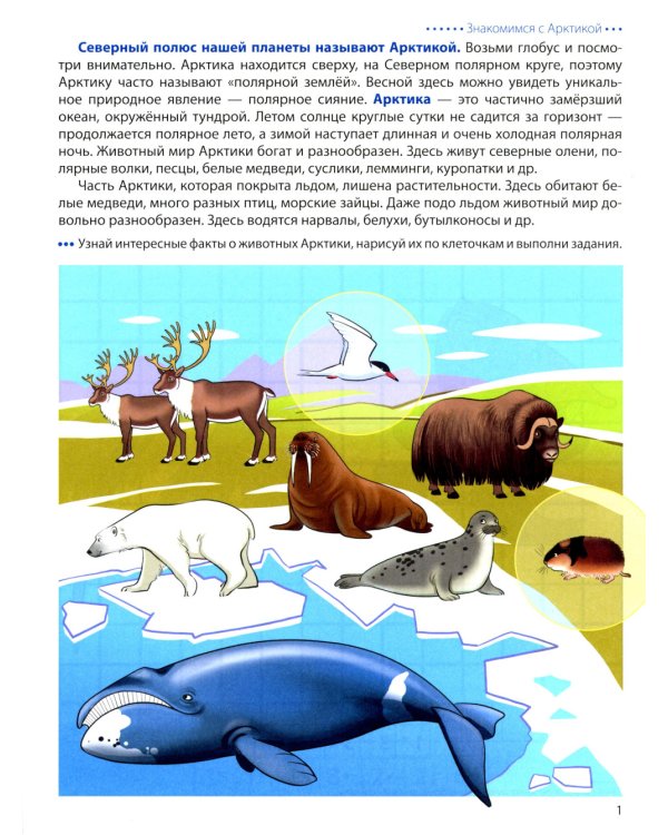 Животные Арктики и Антарктики. Графические диктанты. 4+