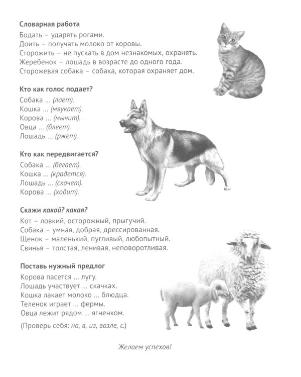 Комплект. Демонстрационные картинки "СУПЕР. Домашние и дикие животные" (количество томов: 6)