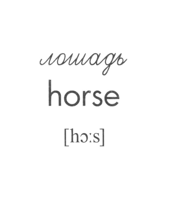 Комплект. Демонстрационные картинки "СУПЕР. Домашние и дикие животные" (количество томов: 6)