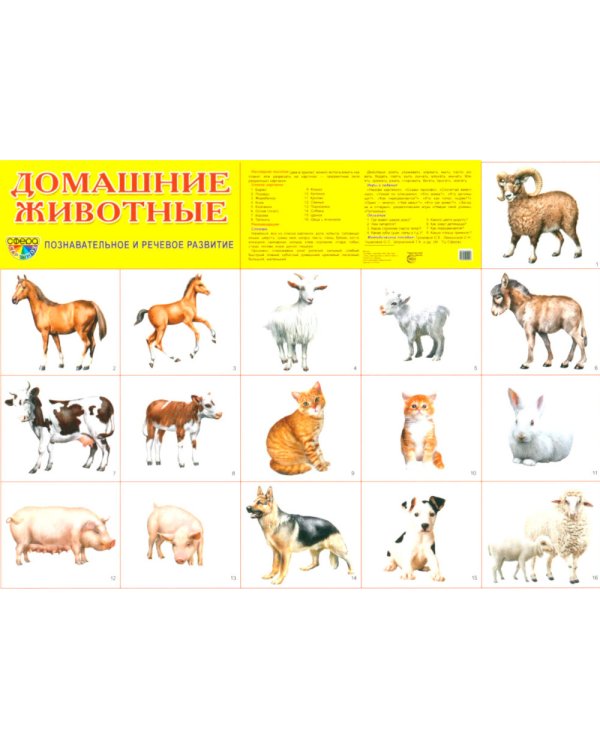 Комплект. Демонстрационные картинки "СУПЕР. Домашние и дикие животные" (количество томов: 6)