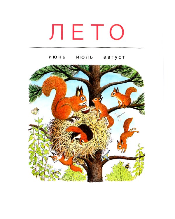 В лесу: энциклопедия в картинках