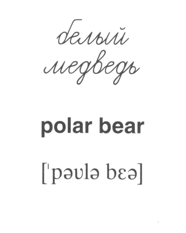 Комплект. Демонстрационные картинки "СУПЕР. Домашние и дикие животные" (количество томов: 6)