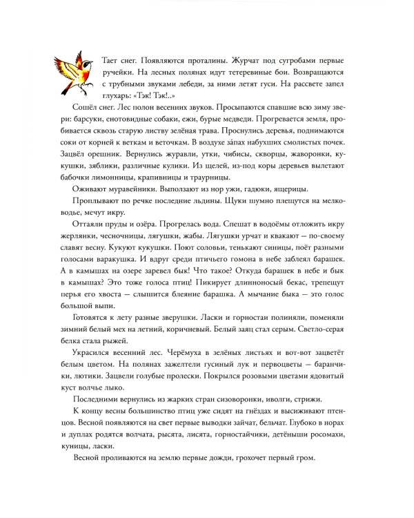 В лесу: энциклопедия в картинках