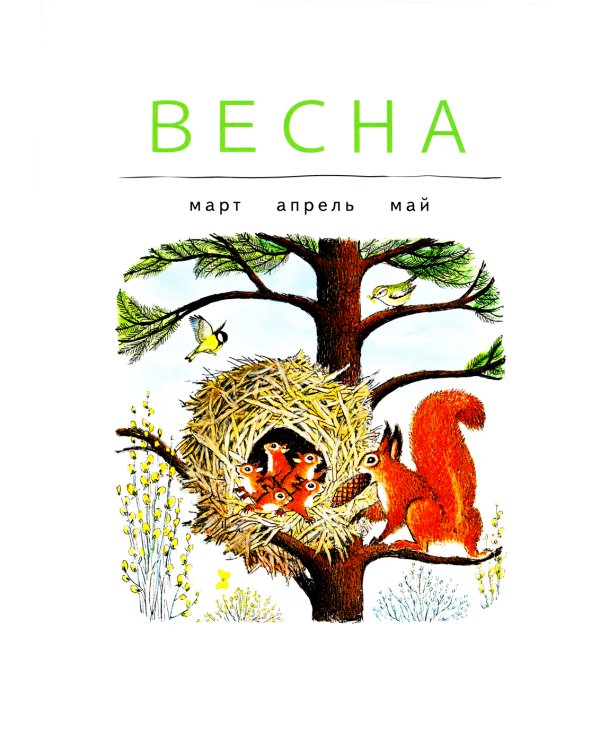 В лесу: энциклопедия в картинках