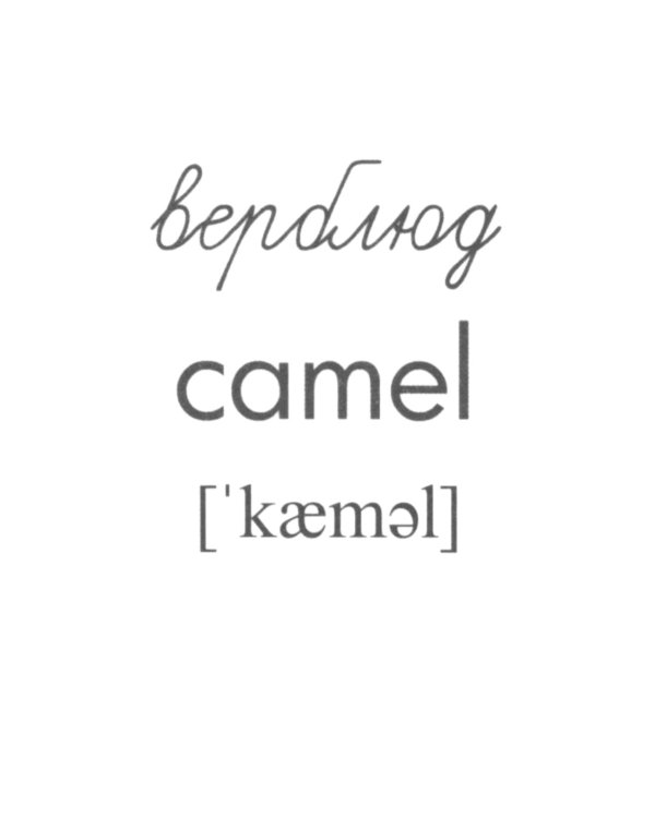 Комплект. Демонстрационные картинки "СУПЕР. Домашние и дикие животные" (количество томов: 6)