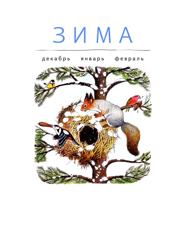 В лесу: энциклопедия в картинках