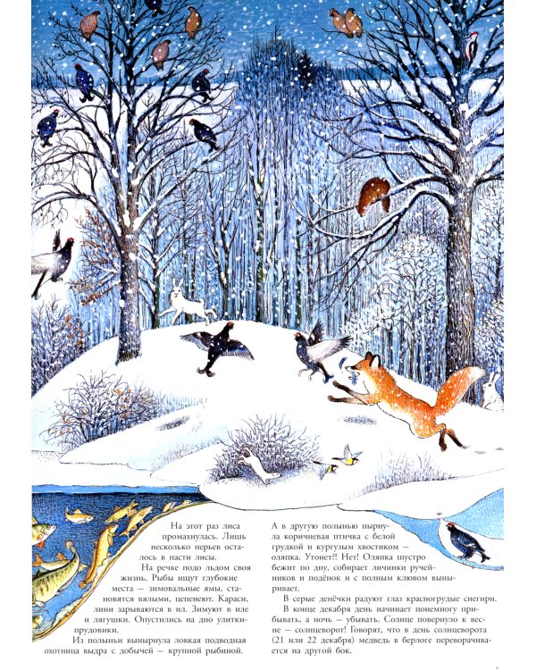 В лесу: энциклопедия в картинках