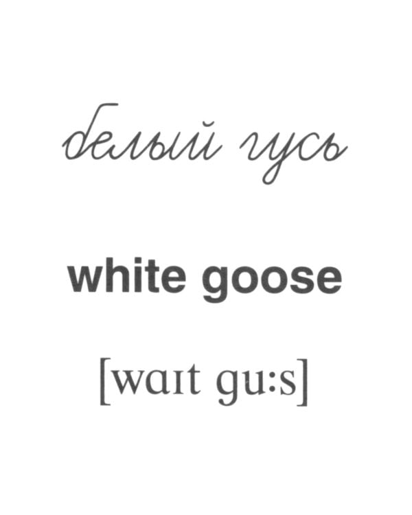 Комплект. Демонстрационные картинки "СУПЕР. Домашние и дикие животные" (количество томов: 6)