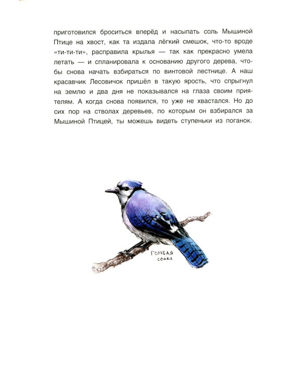 Индейские сказки