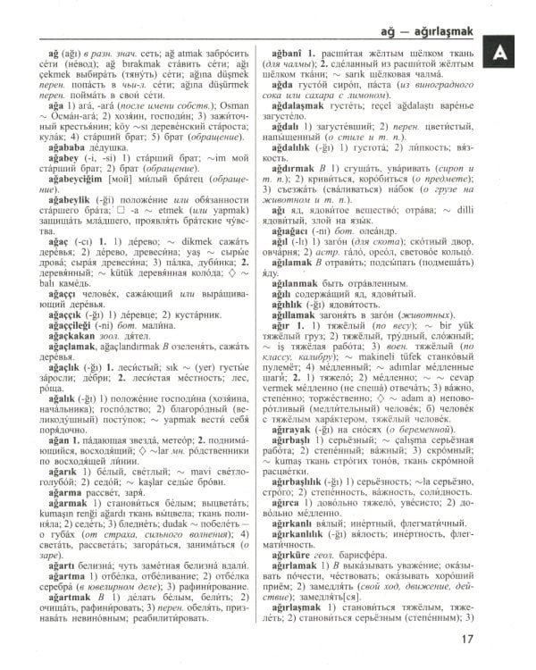 Большой турецко-русский русско-турецкий словарь 380 000 слов и словосочетаний