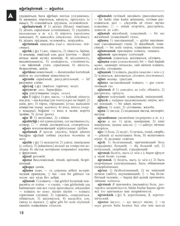 Большой турецко-русский русско-турецкий словарь 380 000 слов и словосочетаний