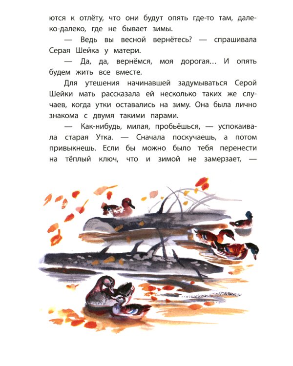 Серая шейка; Притча о Молочке, овсяной Кашке и сером котишке Мурке: сказки