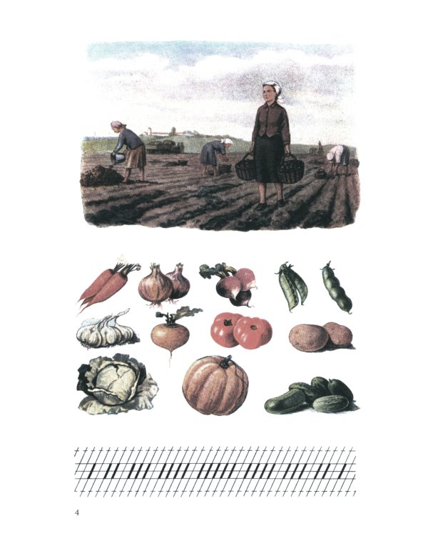 Букварь. (цветной сталинский букварь 1959)