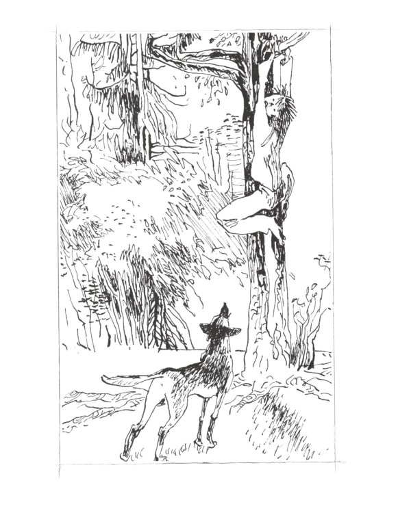 Маленькие дикари