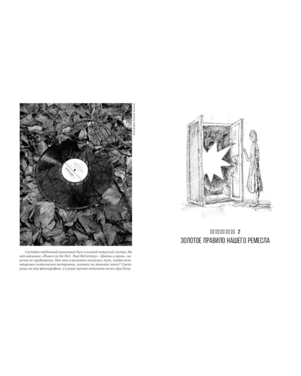 Учись видеть. Уроки творческих взлетов