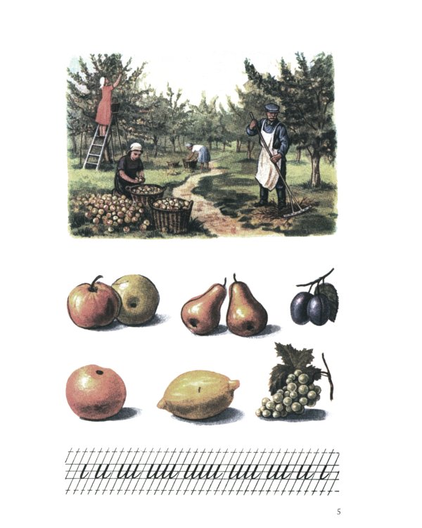 Букварь. (цветной сталинский букварь 1959)