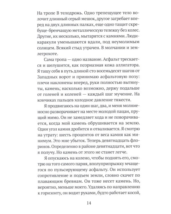 Бесконечное землетрясение: роман