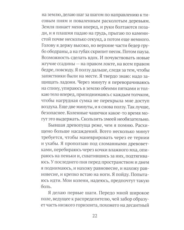 Бесконечное землетрясение: роман