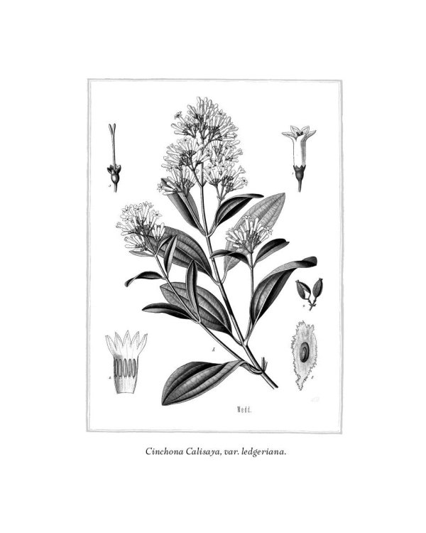 Происхождение всех вещей: роман