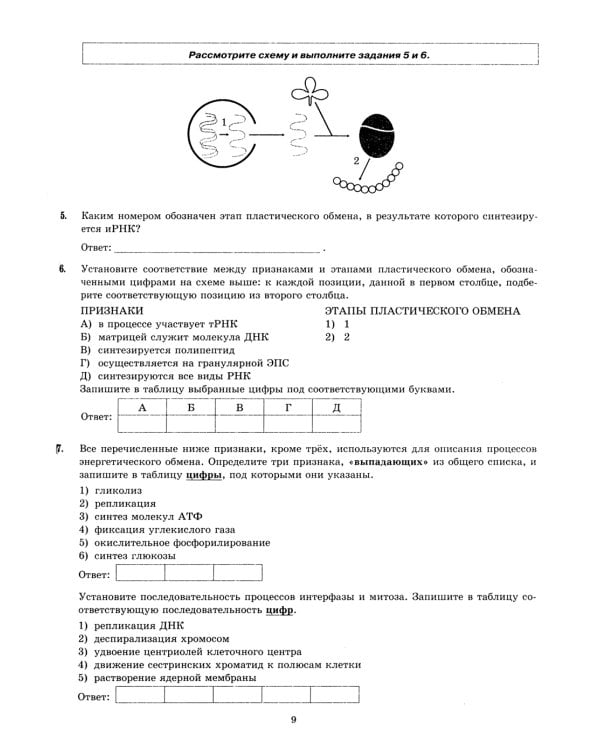 ЕГЭ 2024. Биология. 15 вариантов. Типовые варианты экзаменационных заданий от разработчиков ЕГЭ