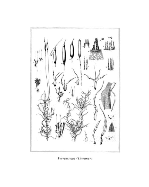 Происхождение всех вещей: роман